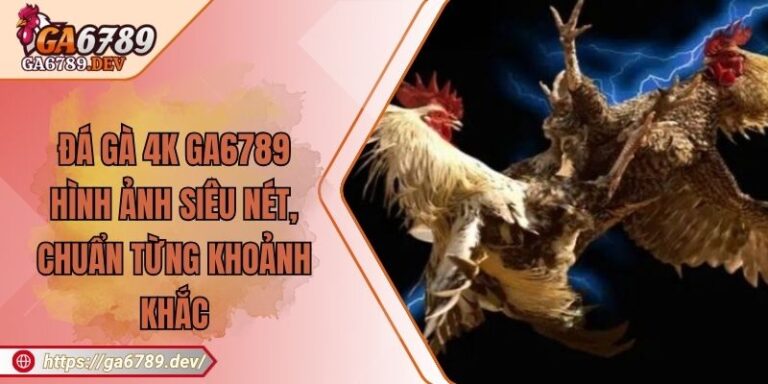 Đá Gà 4K GA6789 – Hình Ảnh Siêu Nét, Chuẩn Từng Khoảnh Khắc 3 Đá Gà 4K GA6789 – Hình Ảnh Siêu Nét, Chuẩn Từng Khoảnh Khắc