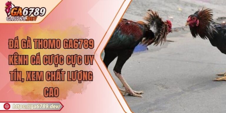 Đá Gà Thomo GA6789 – Kênh Cá Cược Cực Uy tín, Xem Chất Lượng Cao 5 Đá Gà Thomo GA6789 – Kênh Cá Cược Cực Uy tín, Xem Chất Lượng Cao