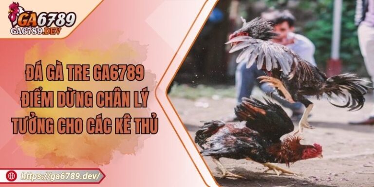 Đá Gà Tre GA6789 – Điểm Dừng Chân Lý Tưởng Cho Các Kê Thủ 2 Đá Gà Tre GA6789 – Điểm Dừng Chân Lý Tưởng Cho Các Kê Thủ