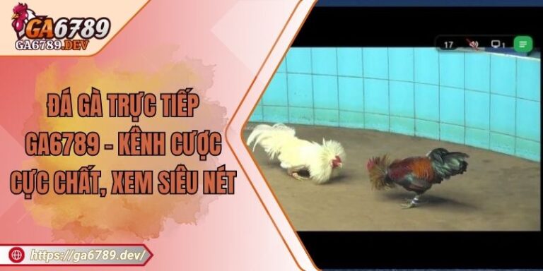 Đá Gà Trực Tiếp GA6789 – Kênh Cược Cực Chất, Xem Siêu Nét 6 Đá Gà Trực Tiếp GA6789 – Kênh Cược Cực Chất, Xem Siêu Nét